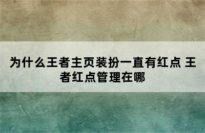 为什么王者主页装扮一直有红点 王者红点管理在哪